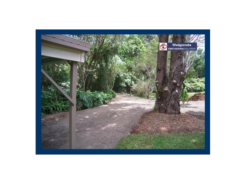 Springbrook QLD 4213