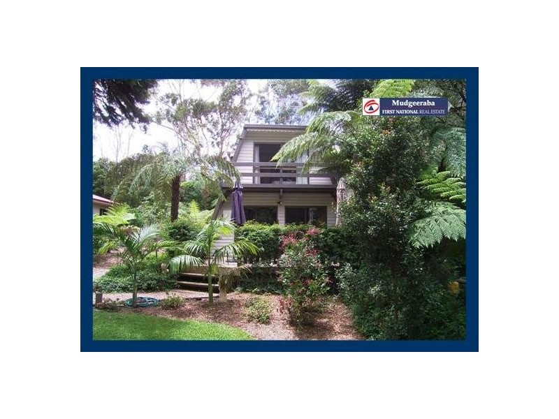 Springbrook QLD 4213