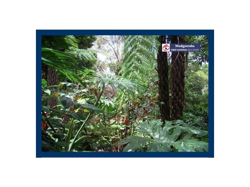 Springbrook QLD 4213