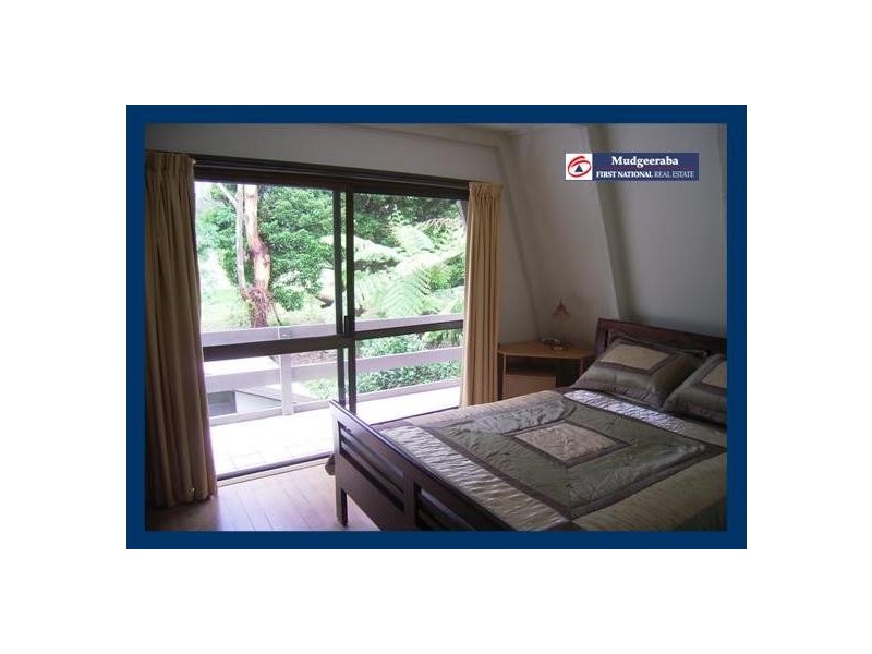 Springbrook QLD 4213