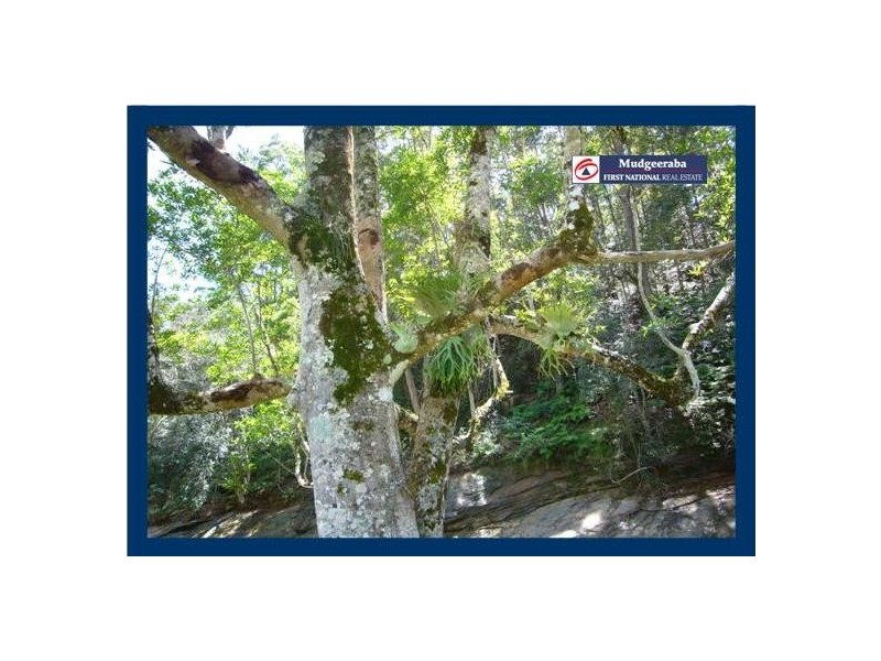 3103 Nerang-Murwillumbah Road, Natural Bridge QLD 4211