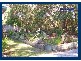 2693 Springbrook Road, Springbrook QLD 4213