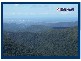 2693 Springbrook Road, Springbrook QLD 4213
