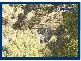 2693 Springbrook Road, Springbrook QLD 4213