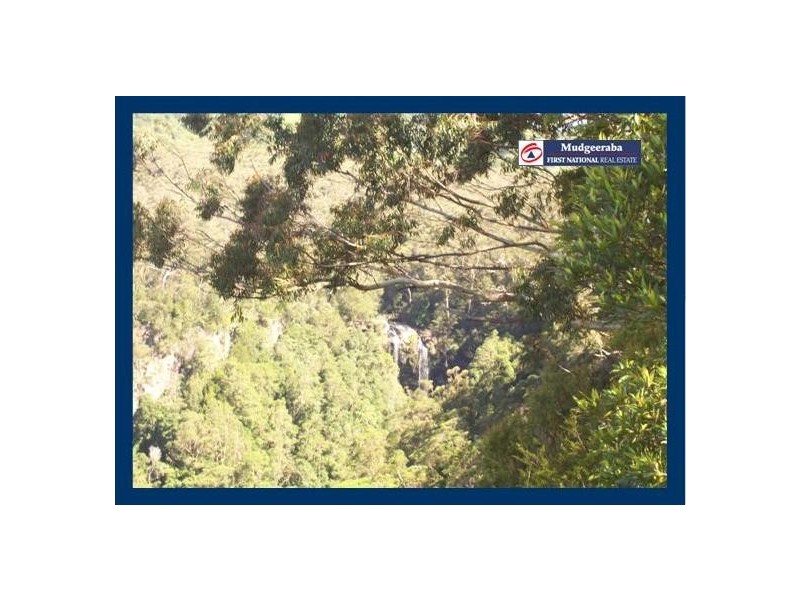 2693 Springbrook Road, Springbrook QLD 4213