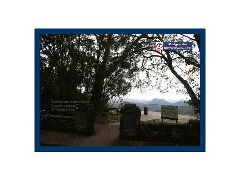 Springbrook QLD 4213