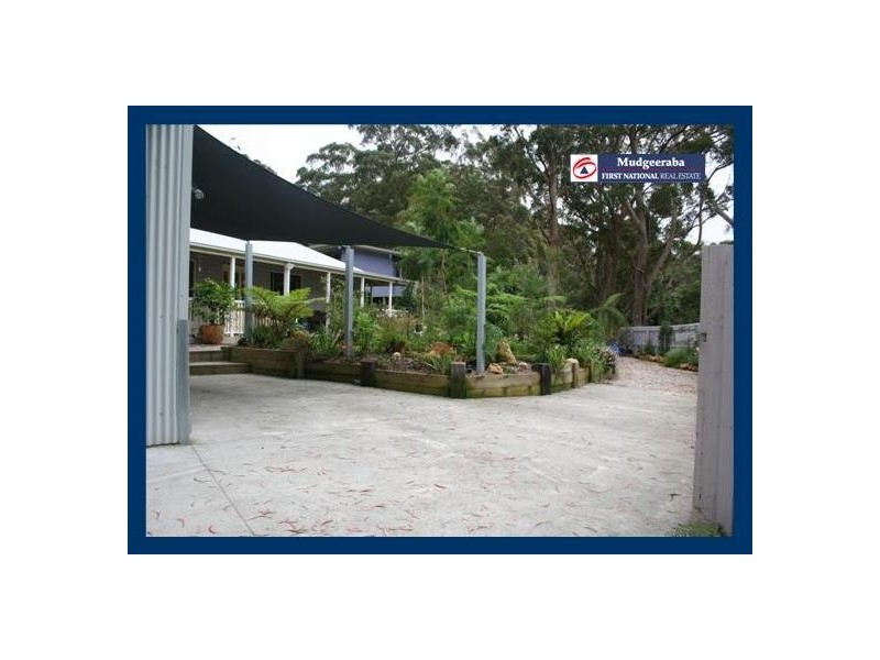 Springbrook QLD 4213