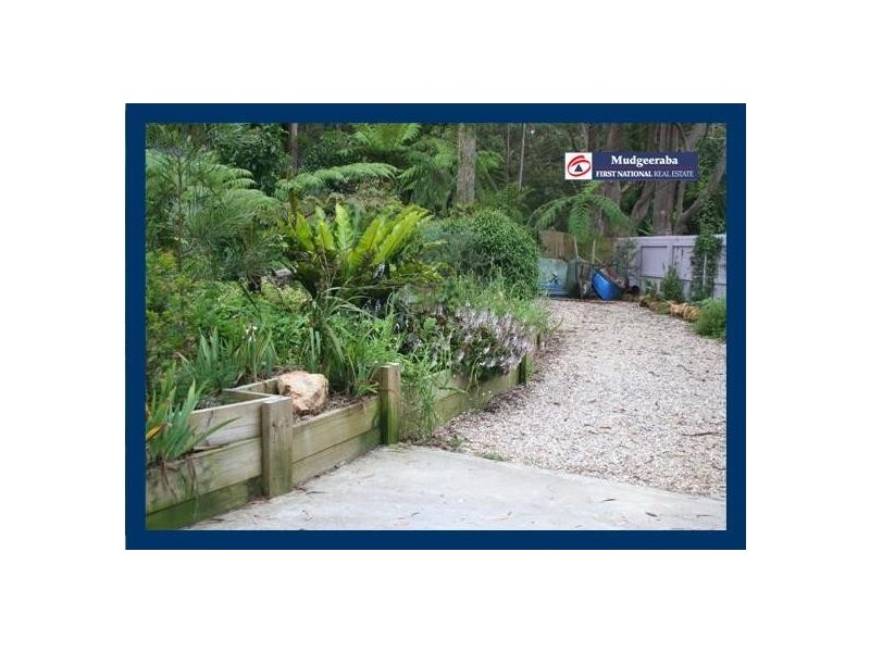 Springbrook QLD 4213