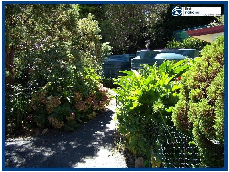 14 Bandicoot Lane, Springbrook QLD 4213