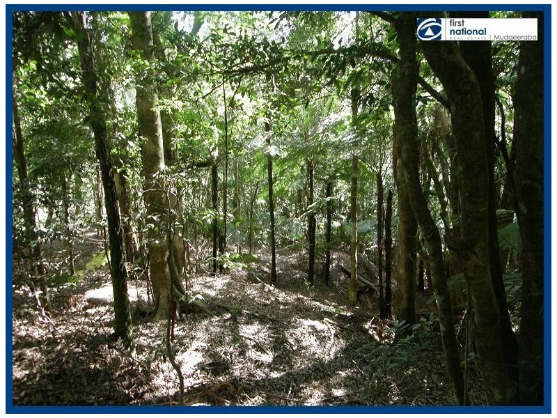 14 Bandicoot Lane, Springbrook QLD 4213