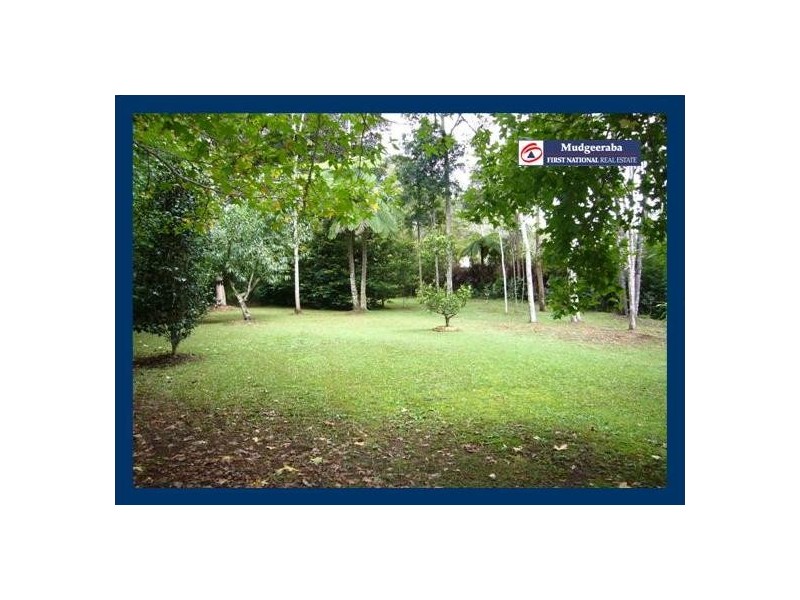 13 Carricks Road, Springbrook QLD 4213