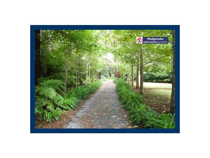 13 Carricks Road, Springbrook QLD 4213