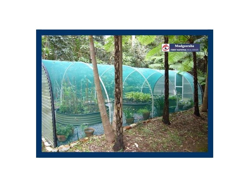 13 Carricks Road, Springbrook QLD 4213