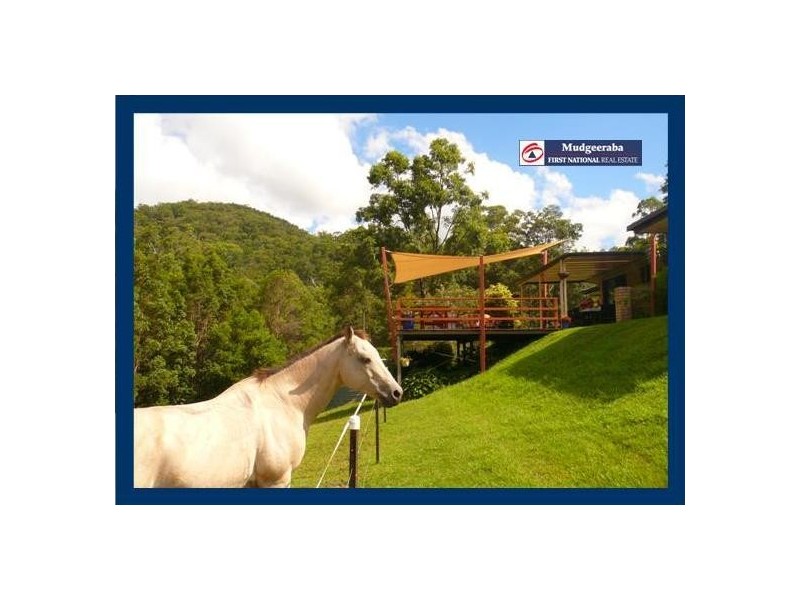 17 Lyminge Court, Bonogin QLD 4213