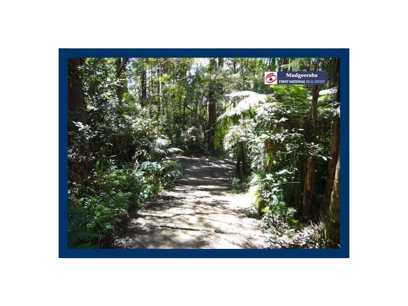 35 Gwongorella Parade, Springbrook QLD 4213