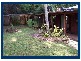 35 Gwongorella Parade, Springbrook QLD 4213