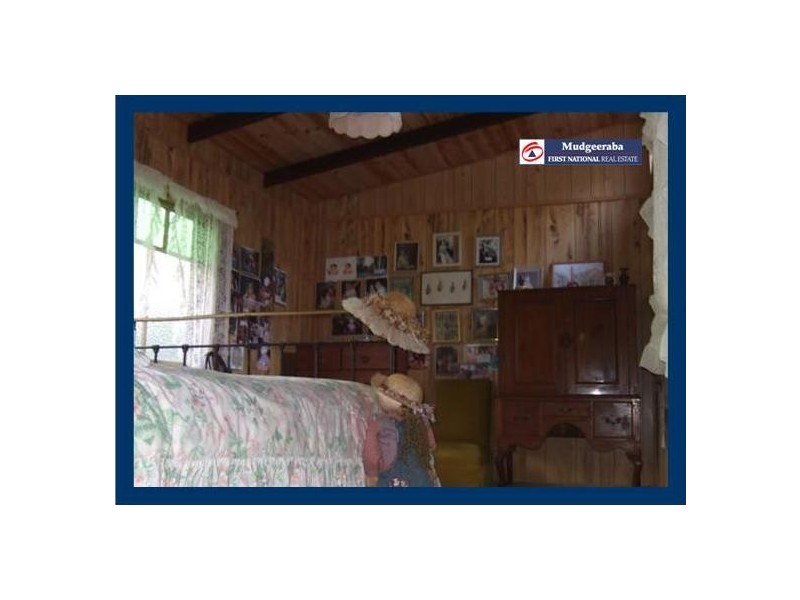 Springbrook QLD 4213