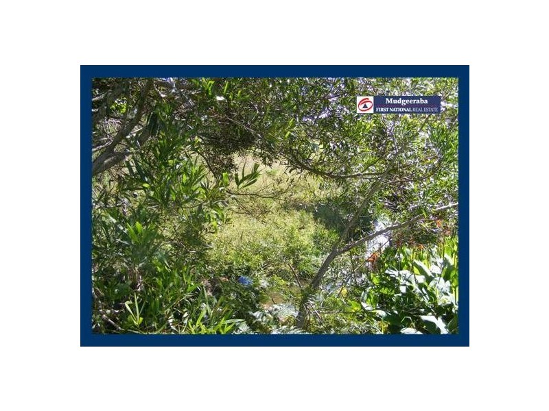 2353 Springbrook Road, Springbrook QLD 4213