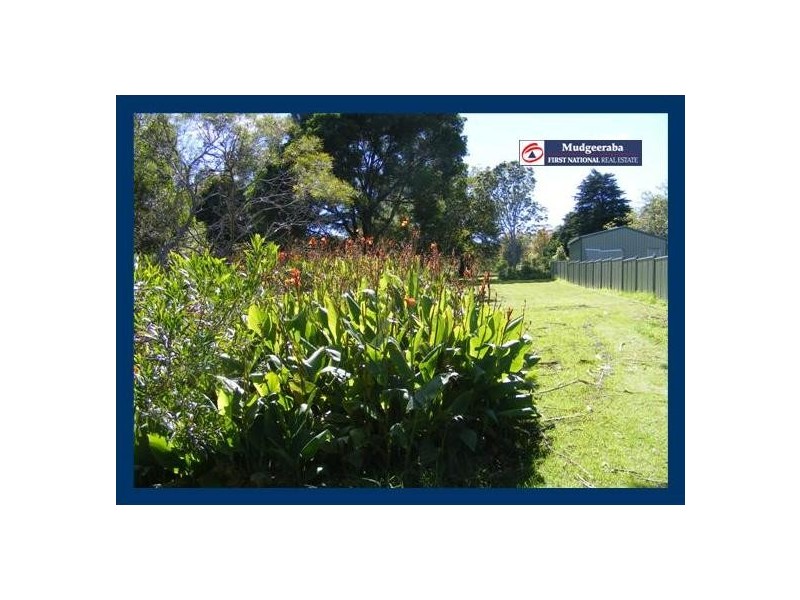 2353 Springbrook Road, Springbrook QLD 4213