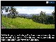 375 The Panorama, Tallai QLD 4213