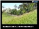 375 The Panorama, Tallai QLD 4213