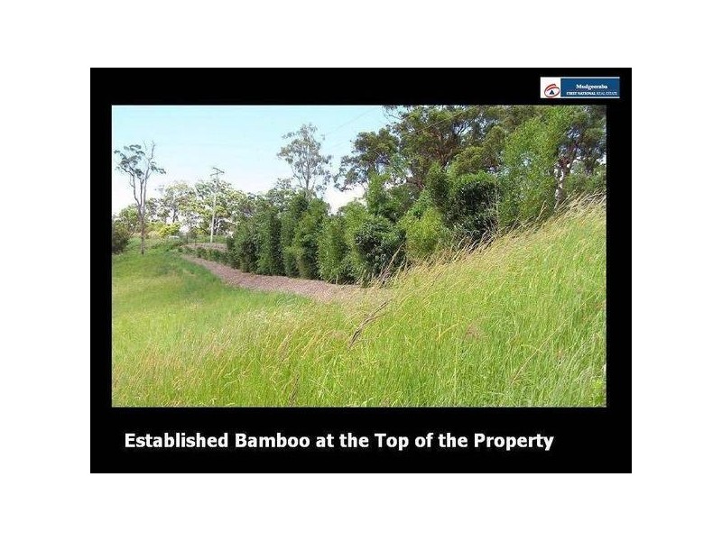 375 The Panorama, Tallai QLD 4213