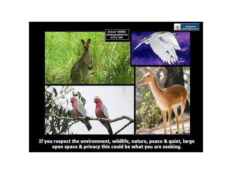 375 The Panorama, Tallai QLD 4213