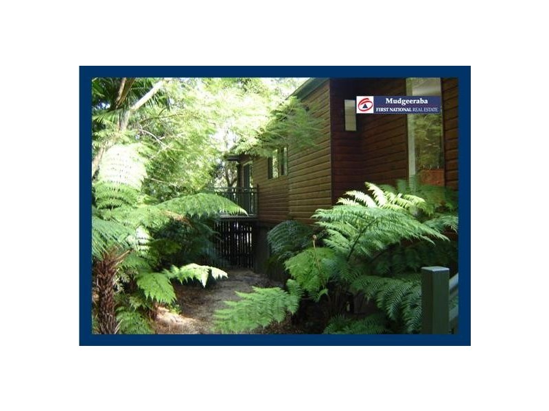 2204 Springbrook Road, Springbrook QLD 4213