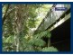 2204 Springbrook Road, Springbrook QLD 4213