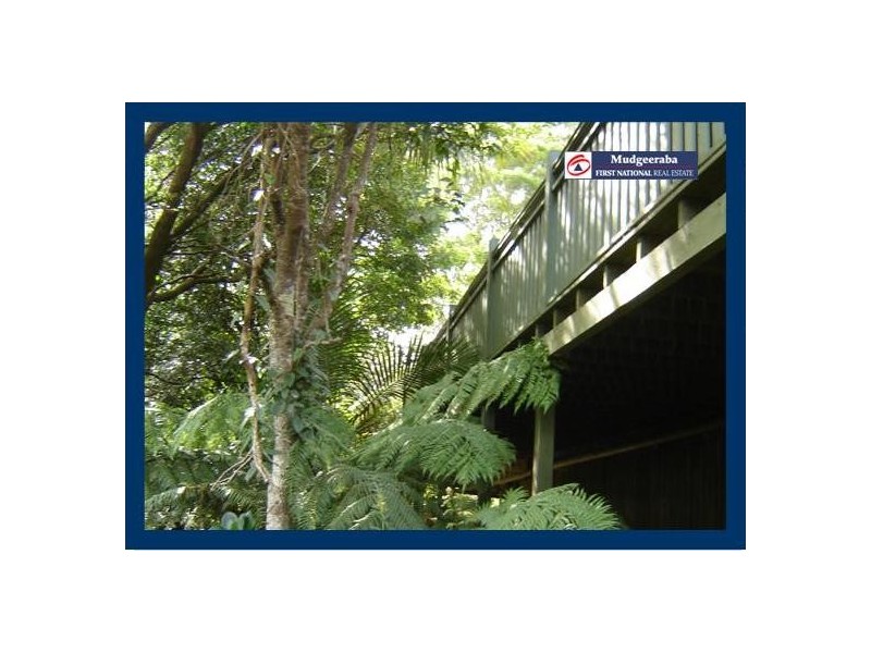 2204 Springbrook Road, Springbrook QLD 4213