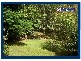 38 Sunray Drive, Bonogin QLD 4213