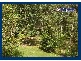 38 Sunray Drive, Bonogin QLD 4213