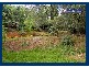 38 Sunray Drive, Bonogin QLD 4213