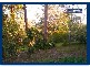 23 Hardys Road, Mudgeeraba QLD 4213