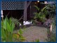 2224 Springbrook Road, Springbrook QLD 4213