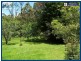 2224 Springbrook Road, Springbrook QLD 4213