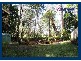 5 Wattle Grove, Springbrook QLD 4213
