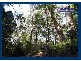 5 Wattle Grove, Springbrook QLD 4213