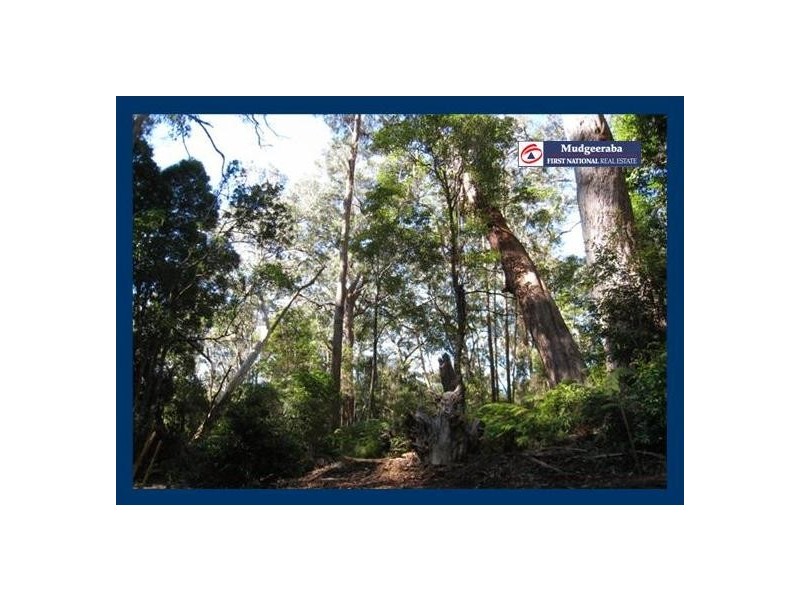 5 Wattle Grove, Springbrook QLD 4213