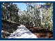 13 Riberry Court, Bonogin QLD 4213