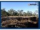 13 Riberry Court, Bonogin QLD 4213