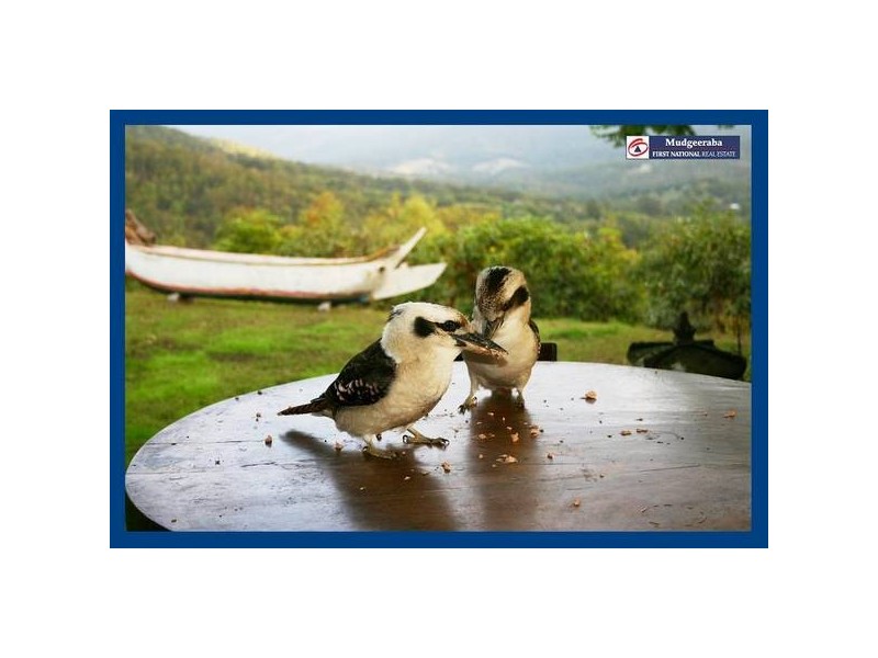 Mudgeeraba QLD 4213