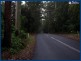 2224 Springbrook Road, Springbrook QLD 4213