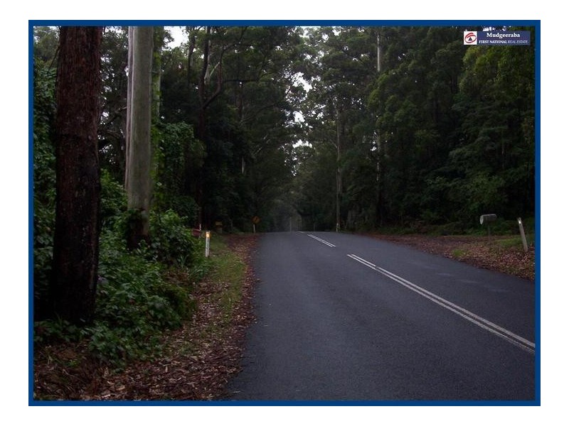 2224 Springbrook Road, Springbrook QLD 4213
