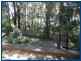 25 Gwongorella, Springbrook QLD 4213