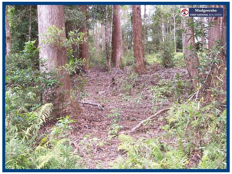 25 Banksia Road, Springbrook QLD 4213