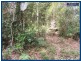 25 Banksia Road, Springbrook QLD 4213