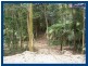 2713 Springbrook Road, Springbrook QLD 4213