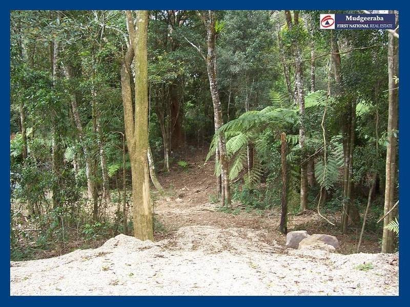 2713 Springbrook Road, Springbrook QLD 4213