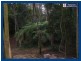 2713 Springbrook Road, Springbrook QLD 4213